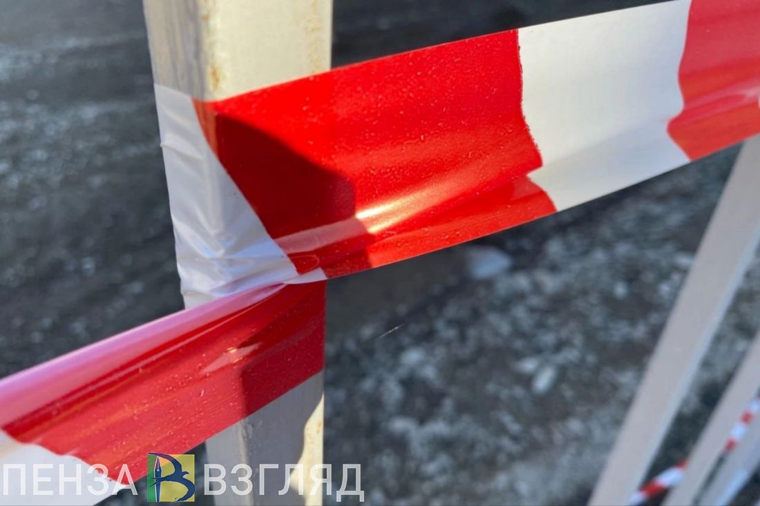 В Земетчино вводят ограничения из-за вспышки бешенства