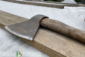 Житель Колышлейского района ударил супругу топором