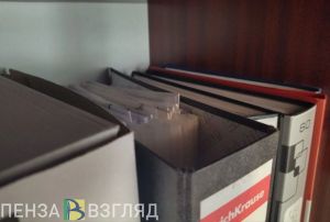 Житель Наровчатского района осужден за участие в финансовых махинациях