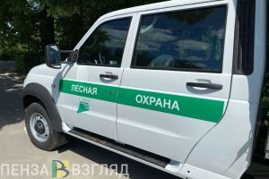 В Пензенской области сохраняется 4 класс пожарной опасности