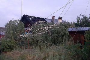 Больше 40 миллионов рублей выделено из областного бюджета на ликвидацию последствий урагана в Никольске