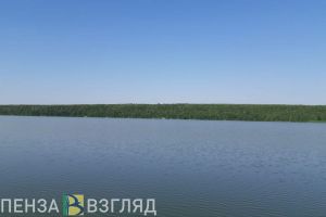 Смертельные ДТП, утопленник в пруду, массовое отключение воды – новости Пензы и области за 7 августа