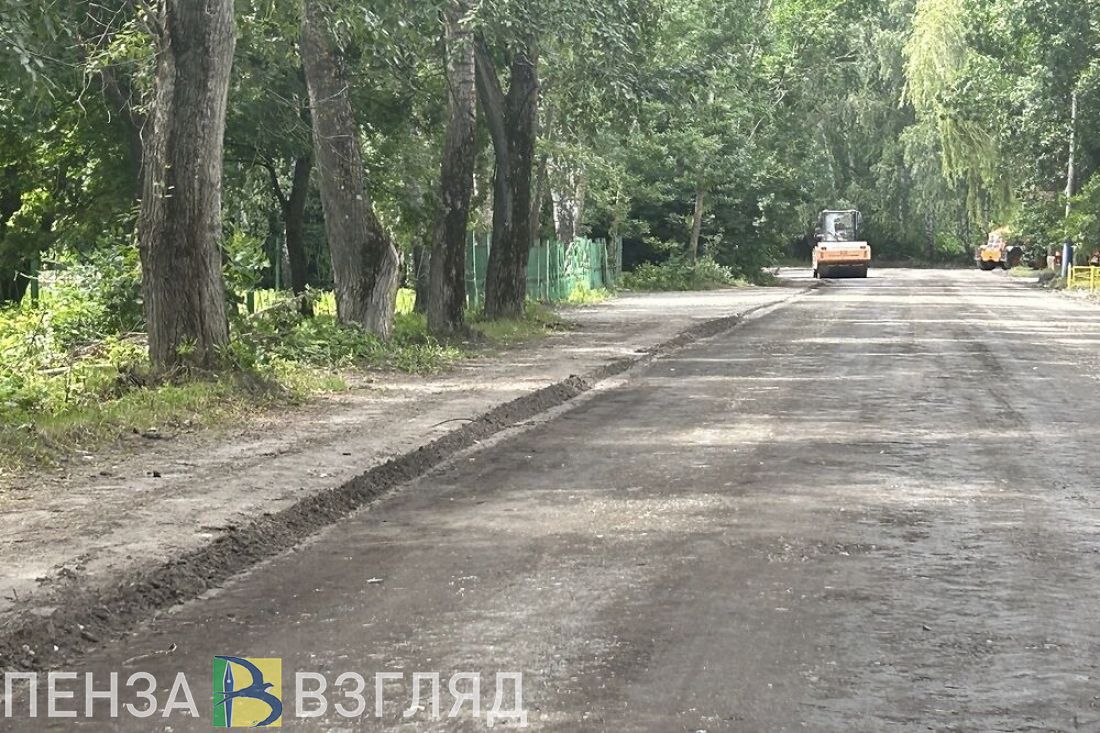 Пензенцам сообщили гарантийные сроки на дорожное асфальтобетонное покрытие