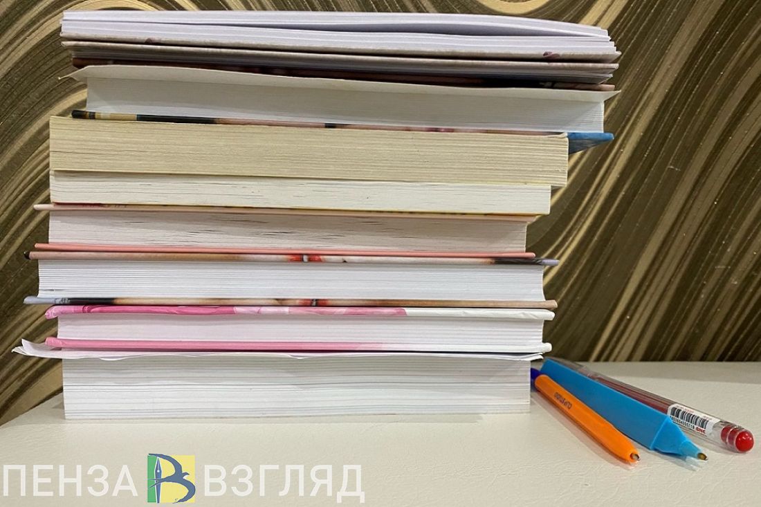 В Пензенской области уровень трудоустройства составляет 73%