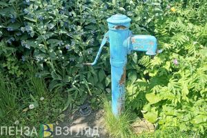 Жители села под Пензой почти неделю живут без воды в 30-градусную жару