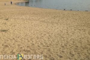 В селе Засечном пропавшую девочку ищут водолазы