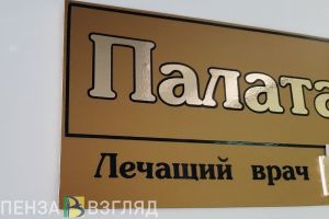 В селах Пензенской области в 2023 году начнут работать 49 врачей