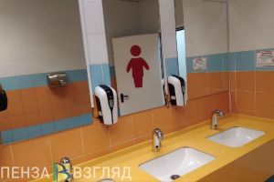 Пензенец поссорился с аптекарем и отомстил, разбив унитаз