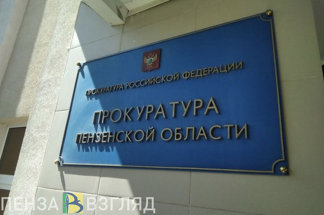 Прокуратура Пензенского района помогла обеспечить больного ребенка виброжилетом