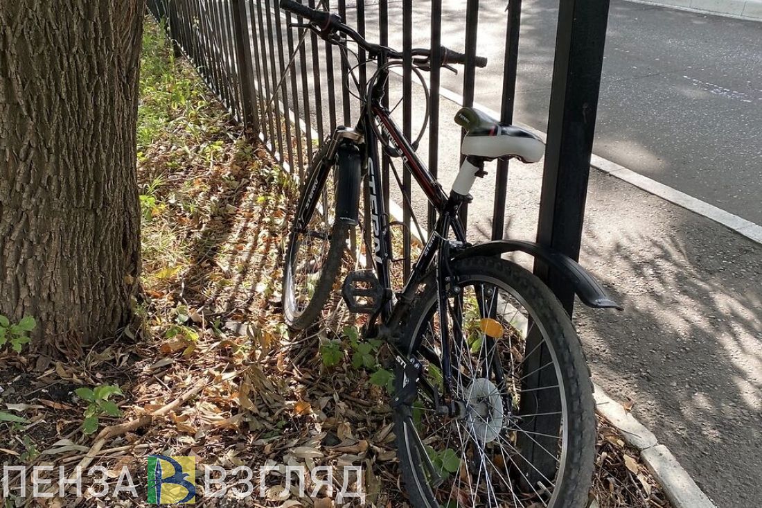 В Пензе на улице 65 лет Победы женщина сбила мальчика-велосипедиста