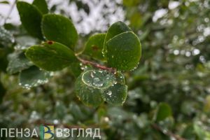 Синоптики сделали прогноз на 14 августа