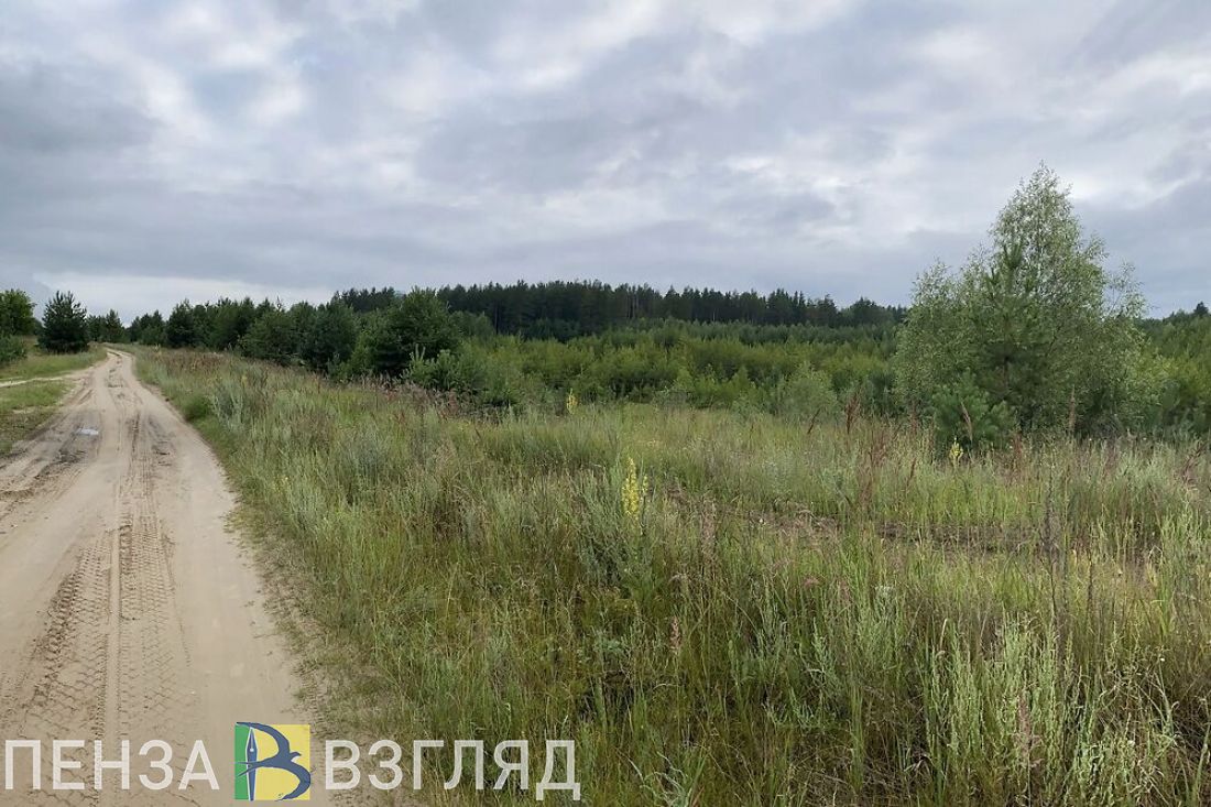На территории Пензенской области сохраняется 4 класс пожарной опасности