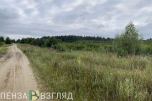 На территории Пензенской области сохраняется 4 класс пожарной опасности