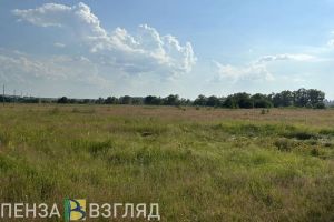 16 августа в Пензенской области ожидается 27 градусов тепла