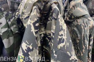 Пензенским участникам СВО планируют назначать выплаты без заявлений
