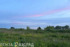 Синоптики рассказали, какую погоду ждать в Пензенской области 18 августа