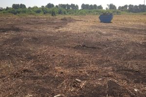 В Белинском районе ликвидировали свалку площадью 1,9 гектара