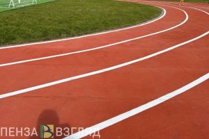 Пензенские тренеры получили статус педагогических работников