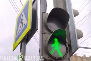 На улице Новоселов в Пензе автомобиль сбил пожилую женщину