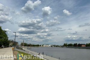 Жара и туман: жителей Пензенской области предупредили об ухудшении погодных условий