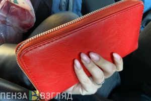 В Пензенской области зарплату выше среднероссийской получают около 20% жителей