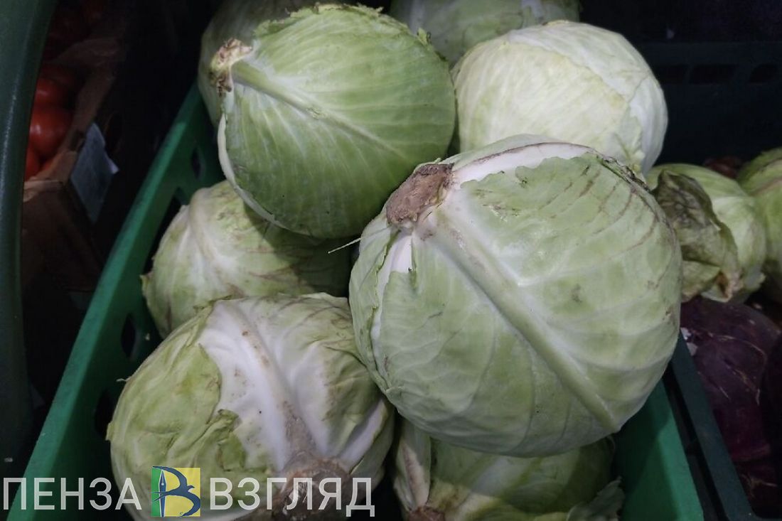 Жительница пожаловалась, что в селе Лопатинского района нет ни одного магазина