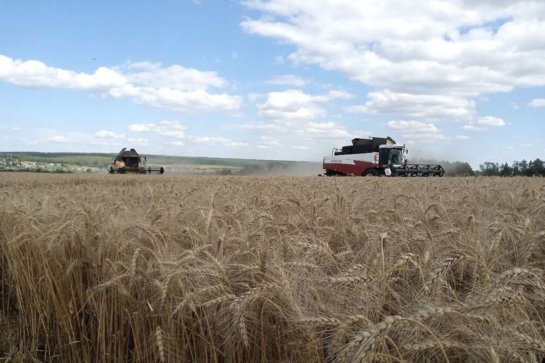 В Пензенской области намолочено 2,2 миллиона тонн зерна