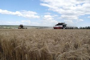 В Пензенской области намолочено 2,2 миллиона тонн зерна