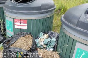 В Пензе в течение 2 лет планируют заменить все мусорные баки на евроконтейнеры