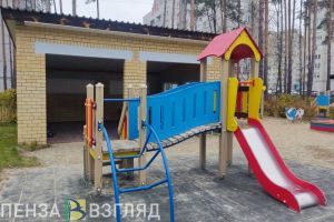 Пензенской области помогут в реализации демографических программ