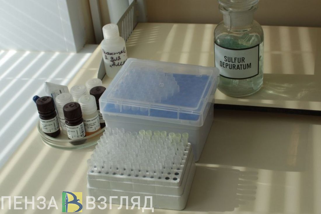 В Пензенской области увеличилось количество клещей-переносчиков инфекции