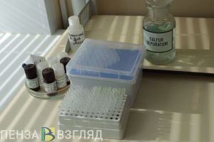 В Пензенской области увеличилось количество клещей-переносчиков инфекции