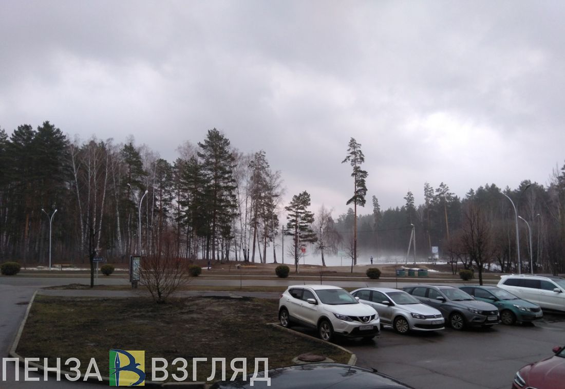 Жителей Пензенской области предупредили о тумане в пятницу