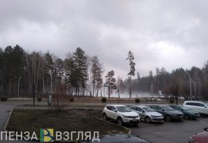Жителей Пензенской области предупредили о тумане в пятницу