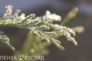 В воскресенье температура воздуха в Пензенской области снизится до +3 градусов