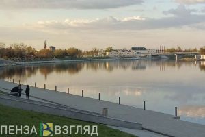 Пензенец пожаловался на протекающий Бакунинский мост