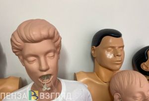 Для пензенских педагогов проведут занятия по оказанию первой медицинской помощи