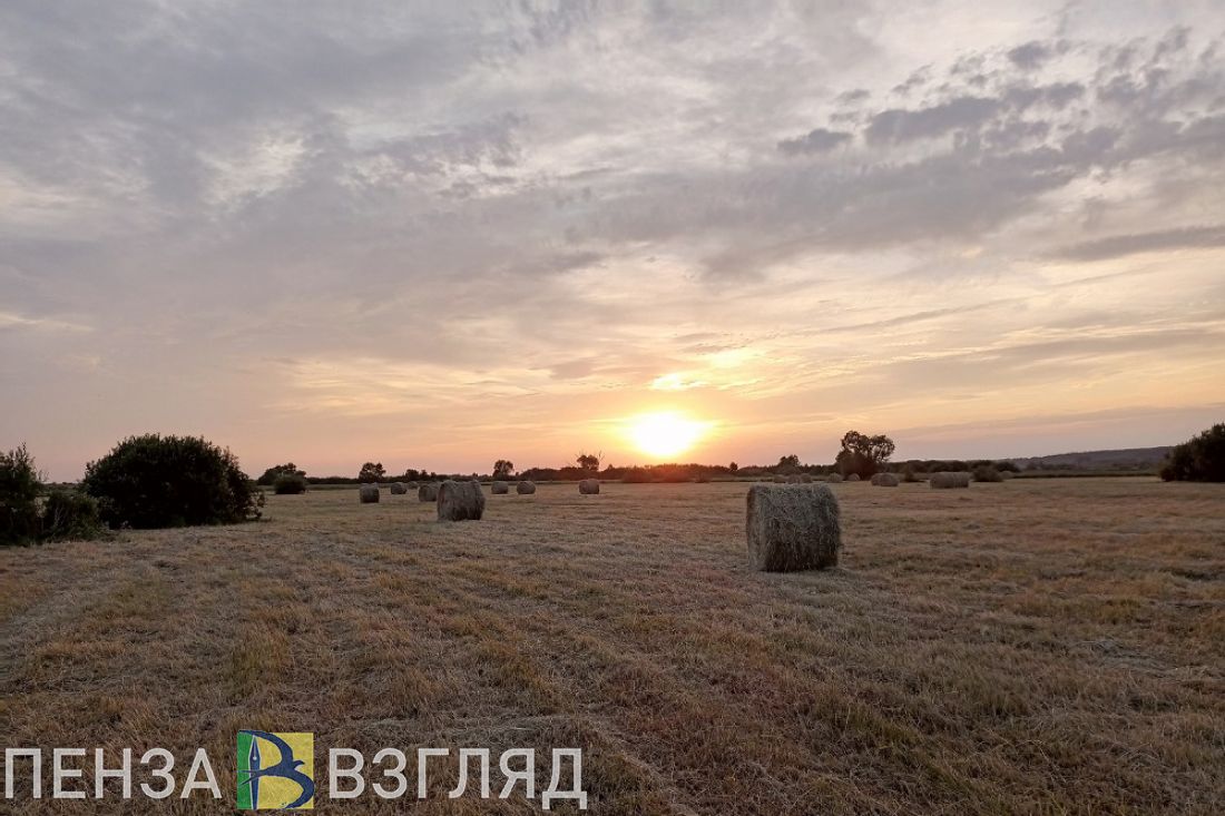 Синоптики сообщили, какая погода ждет пензенцев в последние дни лета и 1 сентября