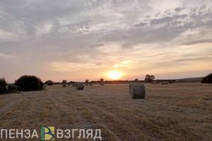 Синоптики сообщили, какая погода ждет пензенцев в последние дни лета и 1 сентября