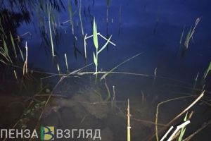 В Каменском районе пенсионер из Пензы «поймал» уголовное дело