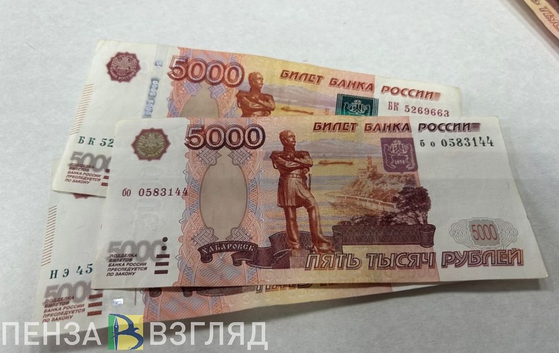 Пензенцы узнали о предложении ежегодно выплачивать прожиточный минимум для сборов ребенка в школу