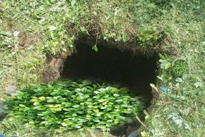 В Пензе из погреба достали травмированного мужчину