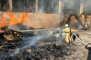 В МЧС сообщили подробности пожара на Дорожной улице в Пензе