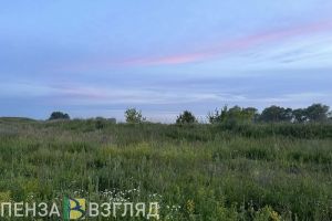 4 сентября в Пензенской области прогнозируется 27 градусов тепла