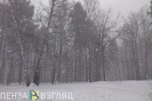 Пензенцы узнали, какая погода будет в России осенью и зимой