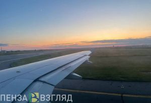 Самолет из Пензы совершил экстренную посадку в Шереметьево