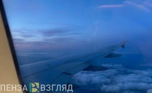 В авиакомпании прокомментировали инцидент с самолетом, летевшим из Пензы в Москву