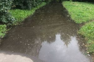 Из-за потопа на улице Глазунова в домах пензенцев появилась плесень