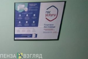 В Пензе опровергли мнение о принудительной регистрации детей на портале Госуслуг
