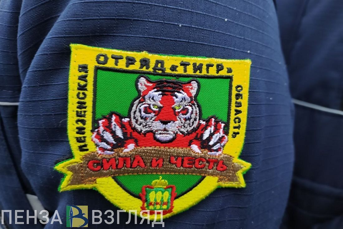 В Пензенской области отряд «Тигр» объявил о новом наборе бойцов